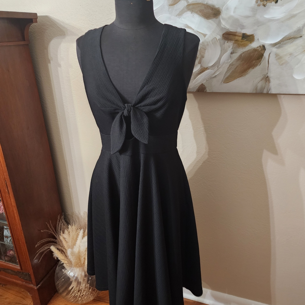 Hutch Black Ruched Backless Mini Sundress